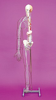 商品一覧 理科機器総合カタログ№59｜ヤガミ 商品検索システム