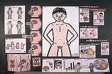 いのちと性の授業セット（小学校中・高学年用）｜ヤガミ 商品検索システム