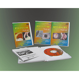DVD 専門医が答える！からだの成長シリーズ 全3巻｜ヤガミ 商品