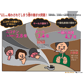 DVD 「思春期の心とからだ」新編集シリーズ｜ヤガミ 商品検索システム