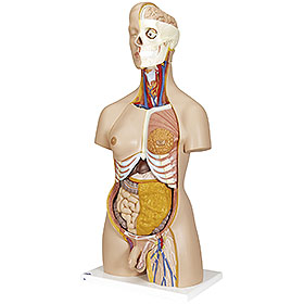 商品一覧 理科機器総合カタログNo.63｜ヤガミ 商品検索システム