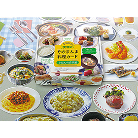 chihaさま専用・実物大・そのまんま料理カード シリーズセット 
